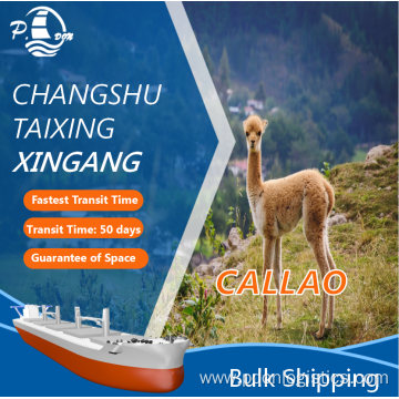 Bulk Shipping From Xingang To Callao